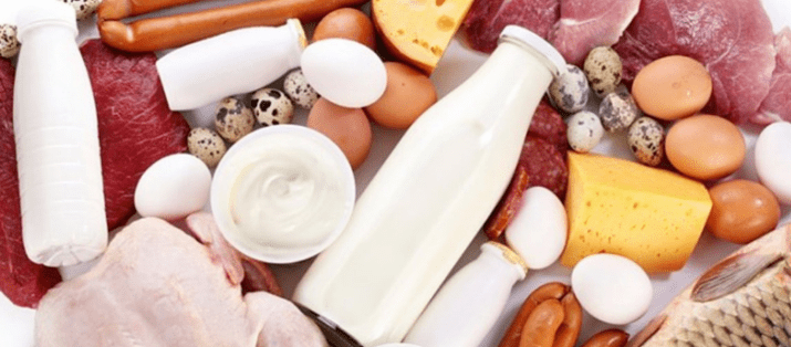 Dieta da proteína Ducan